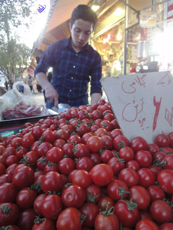   تبریز بامادور